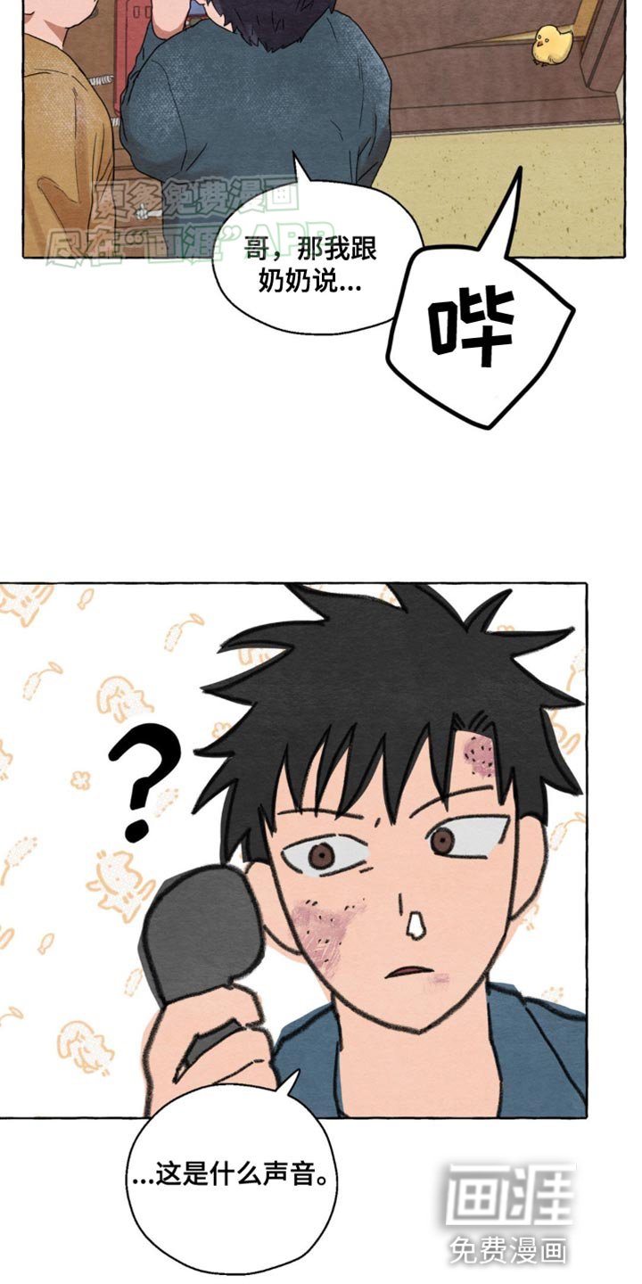 第6章：有什么区别