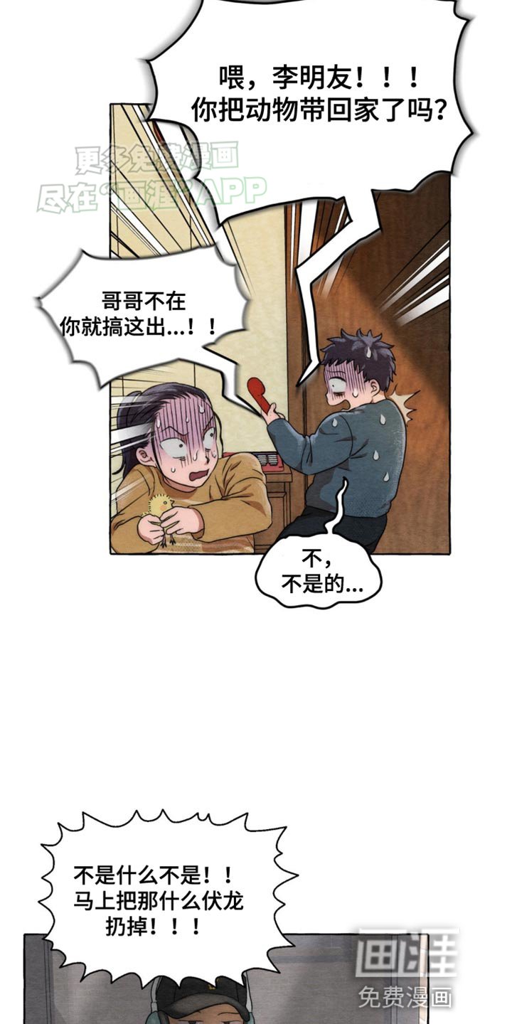 第6章：有什么区别