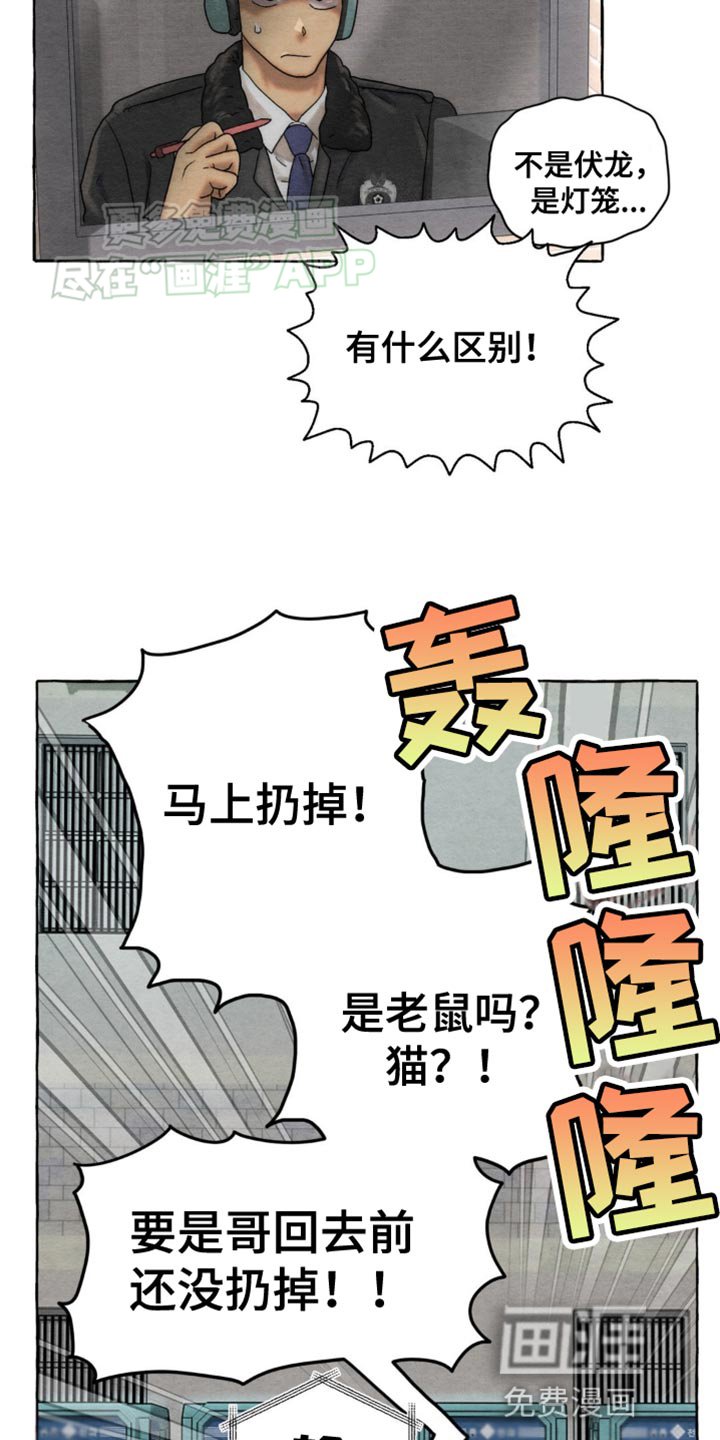 第6章：有什么区别