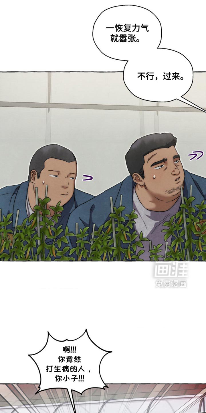 第79章：要继续看吗？