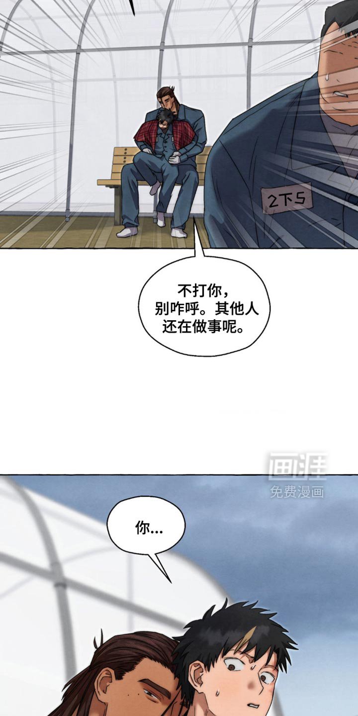 第79章：要继续看吗？
