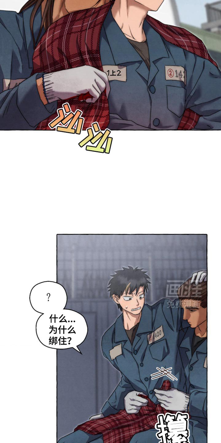 第79章：要继续看吗？