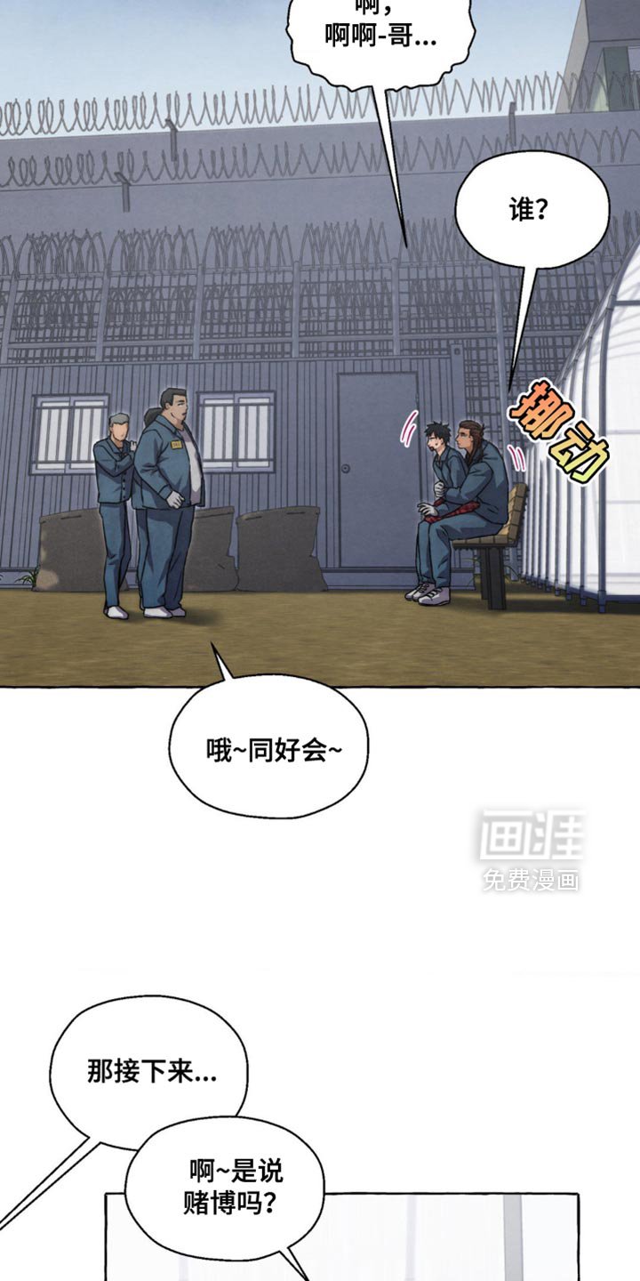 第79章：要继续看吗？