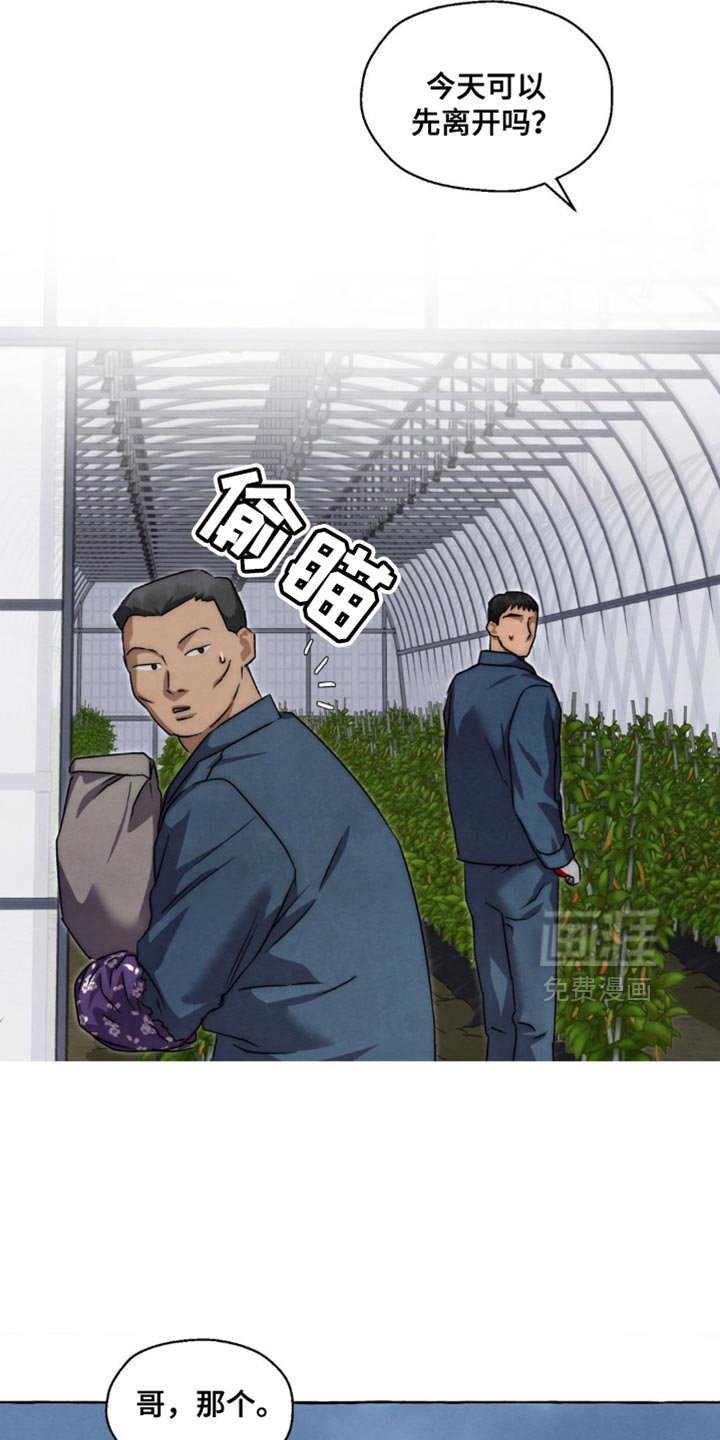 第79章：要继续看吗？