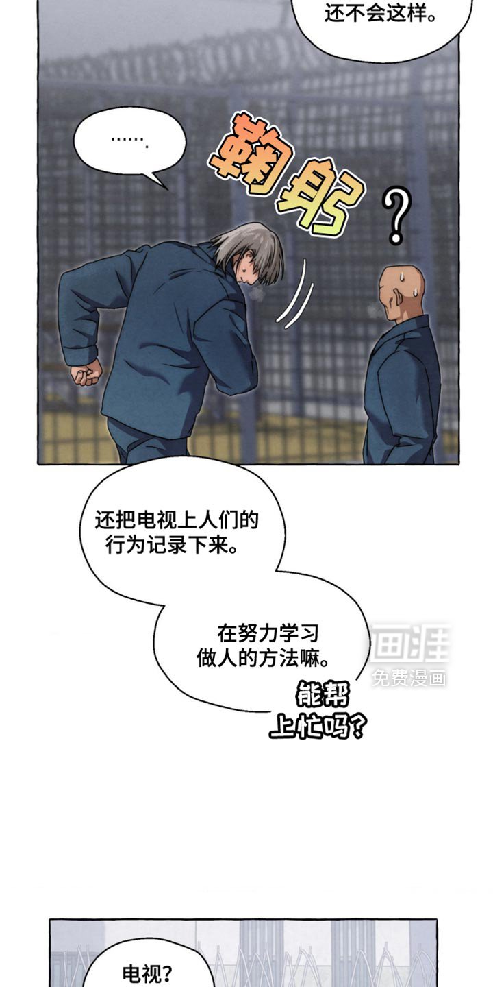第81章：搞不懂
