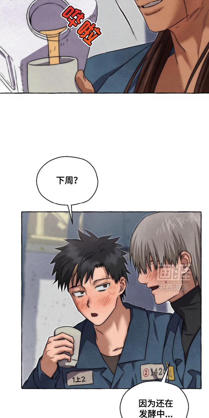 第86章：更好喝的梅子酒