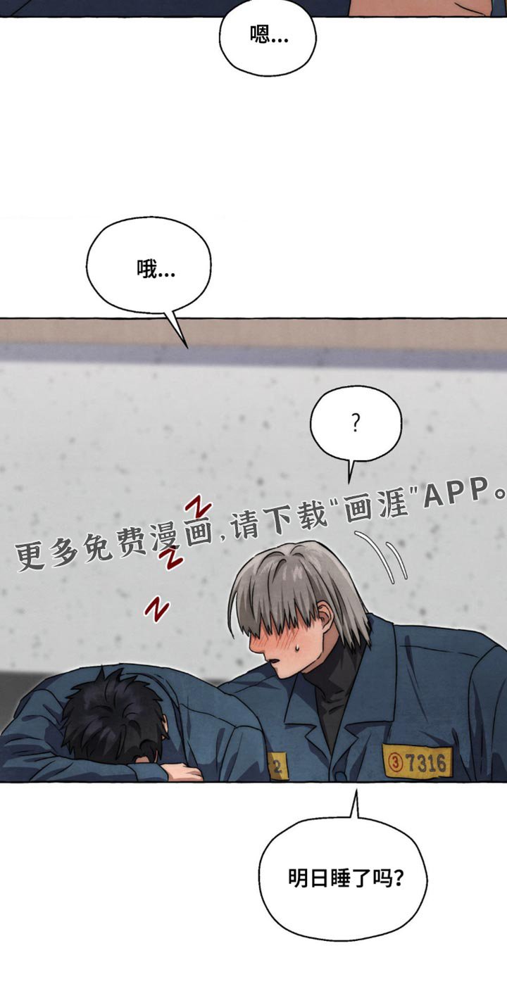 第86章：更好喝的梅子酒