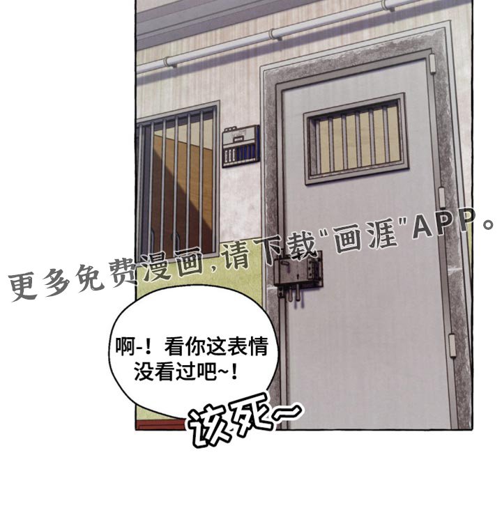 第90章：看过了？