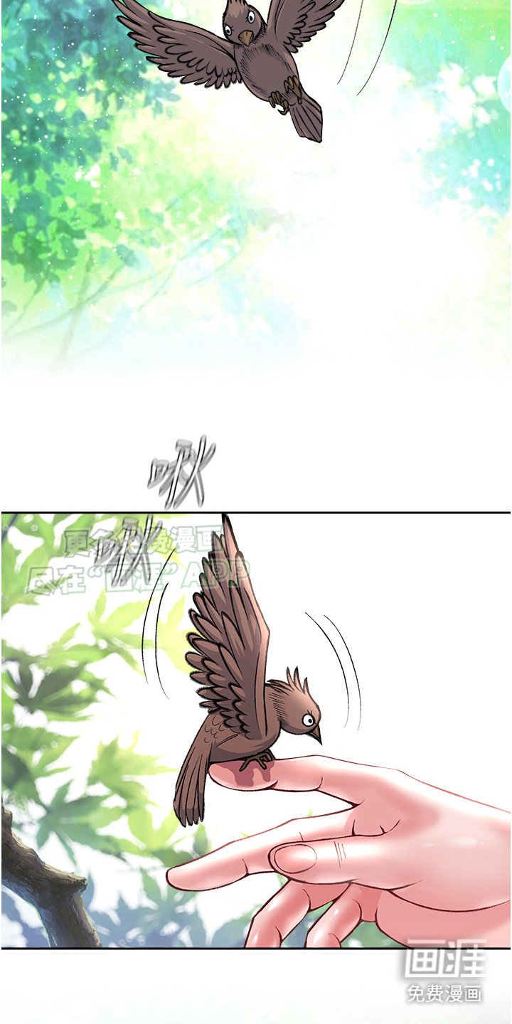 第21章：救命稻草