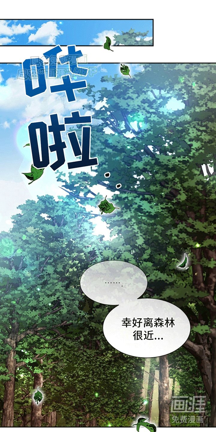 第13章：树荫（完结）