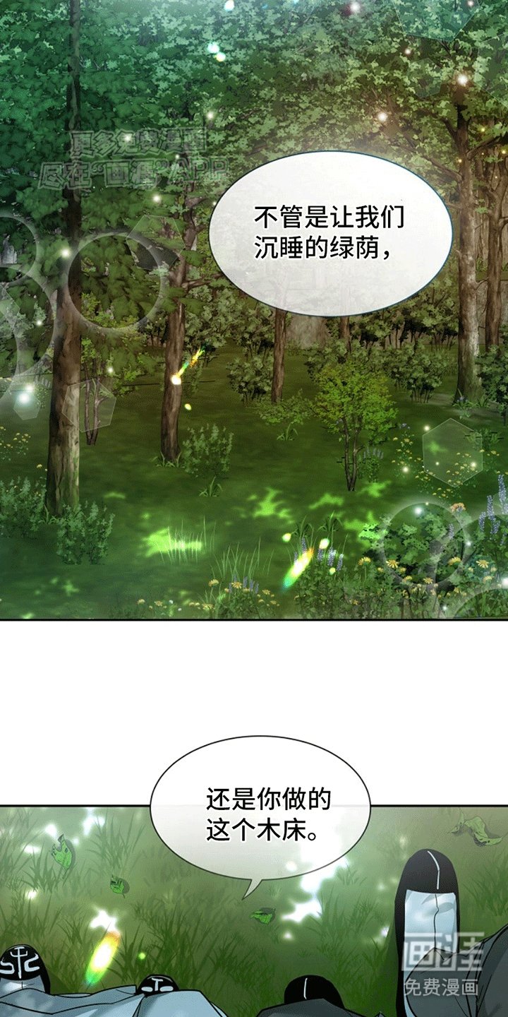 第13章：树荫（完结）