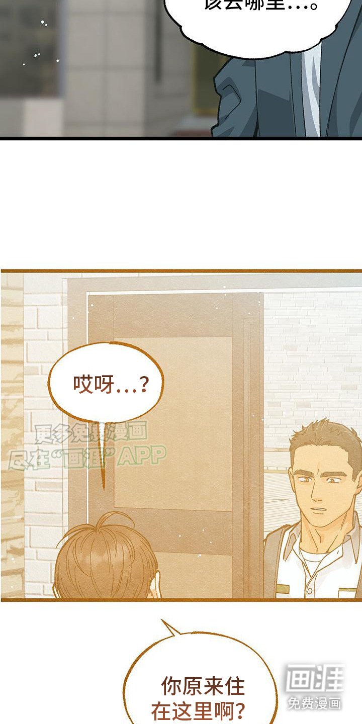 第12章：下定决心