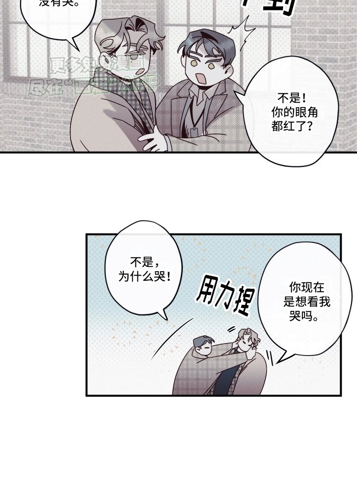 第10章：会看向我吗