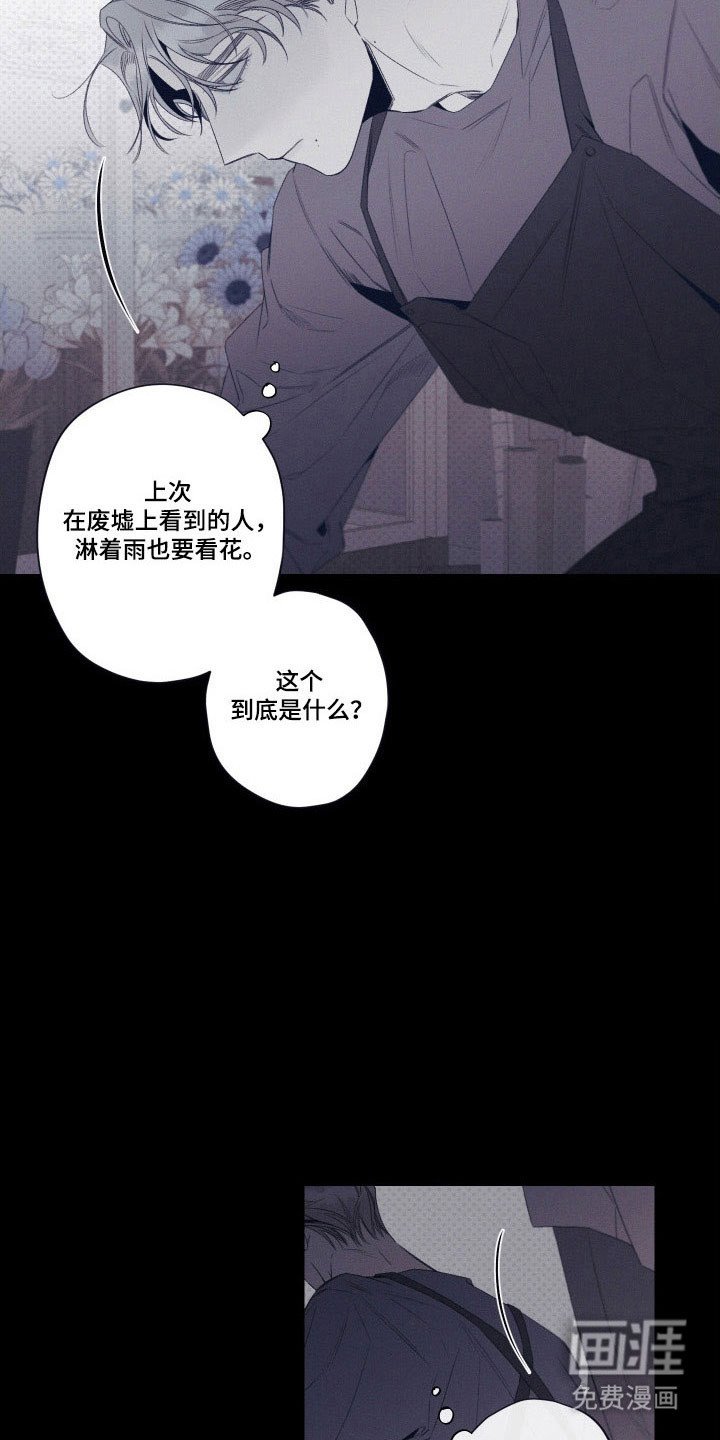 第102章：【第二季】勿忘草