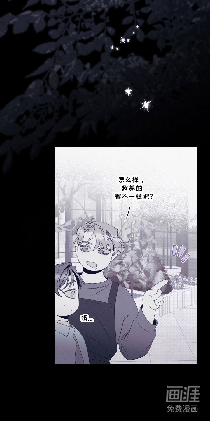 第104章：【第二季】这不是爱
