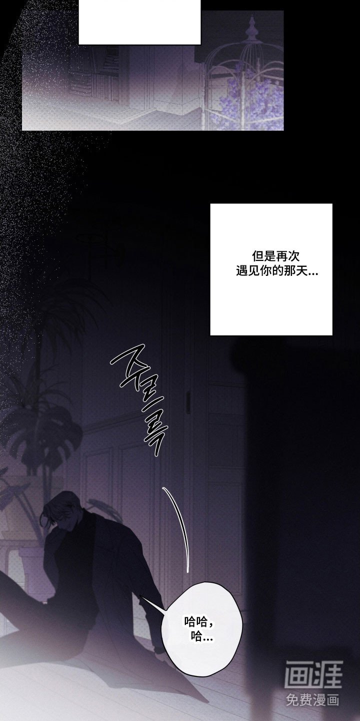 第106章：【第二季】单恋结局