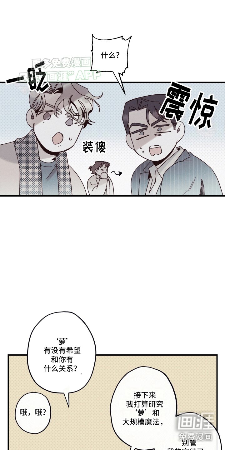 第12章：语言的艺术