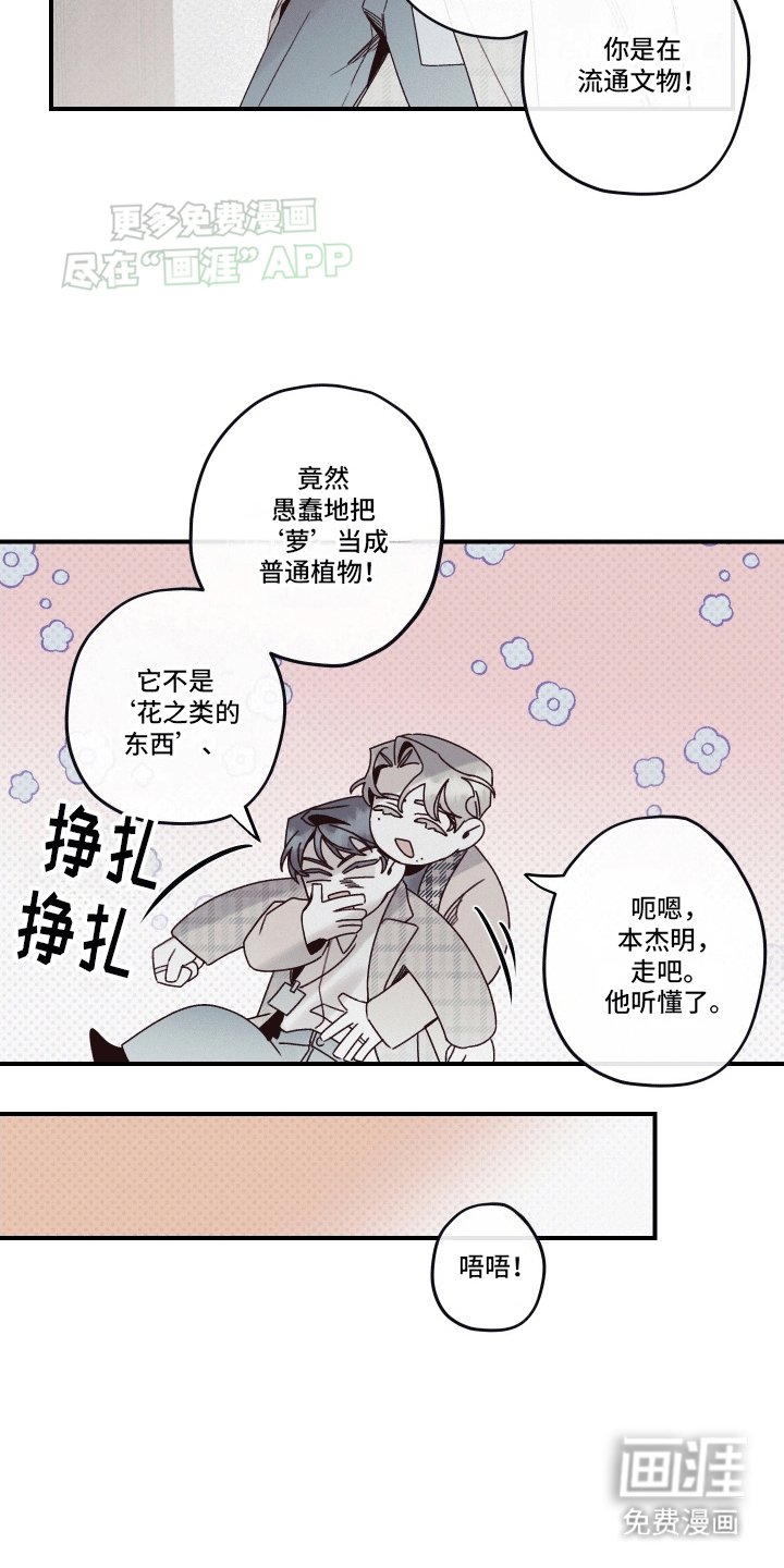 第12章：语言的艺术
