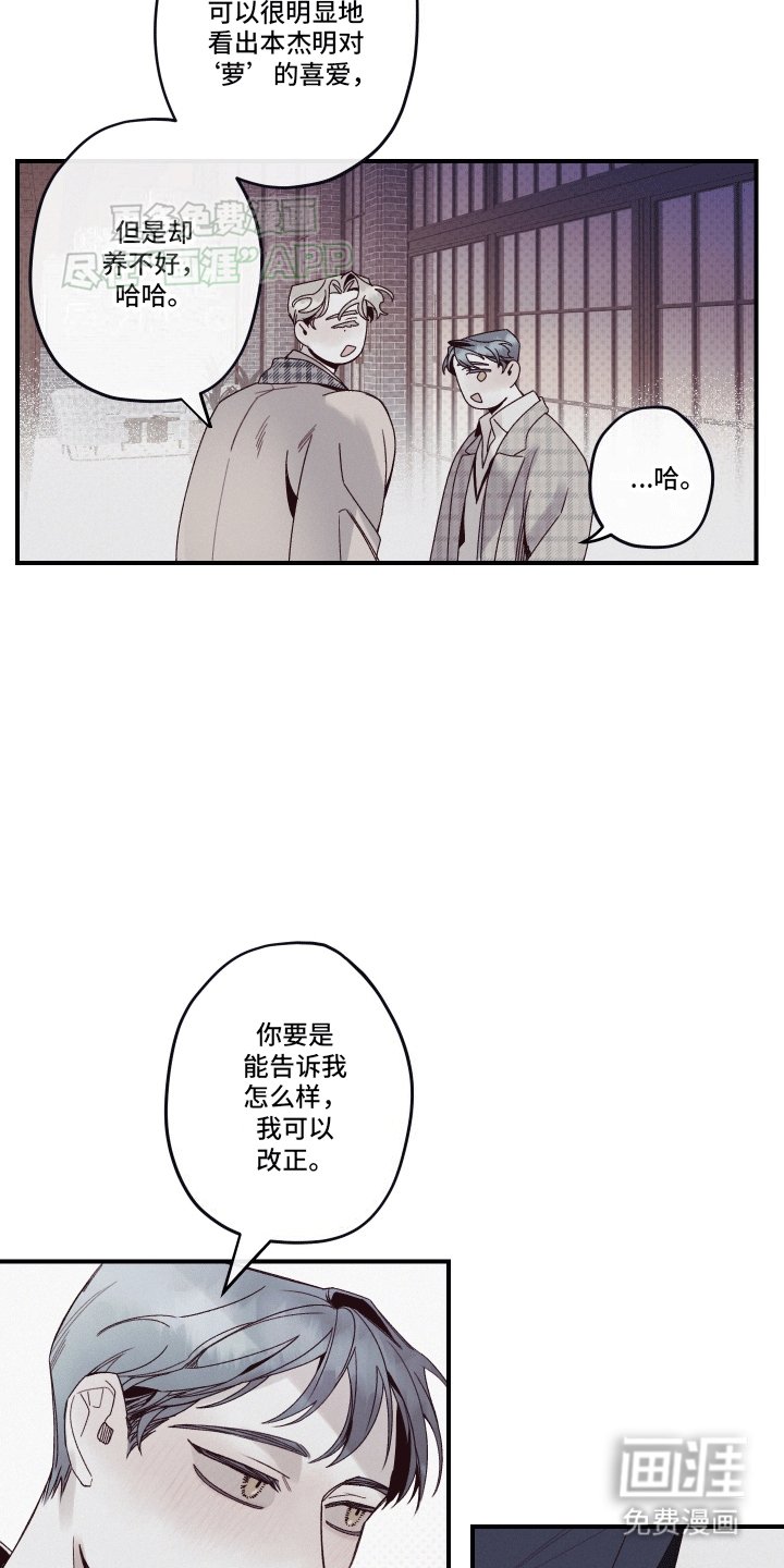 第12章：语言的艺术
