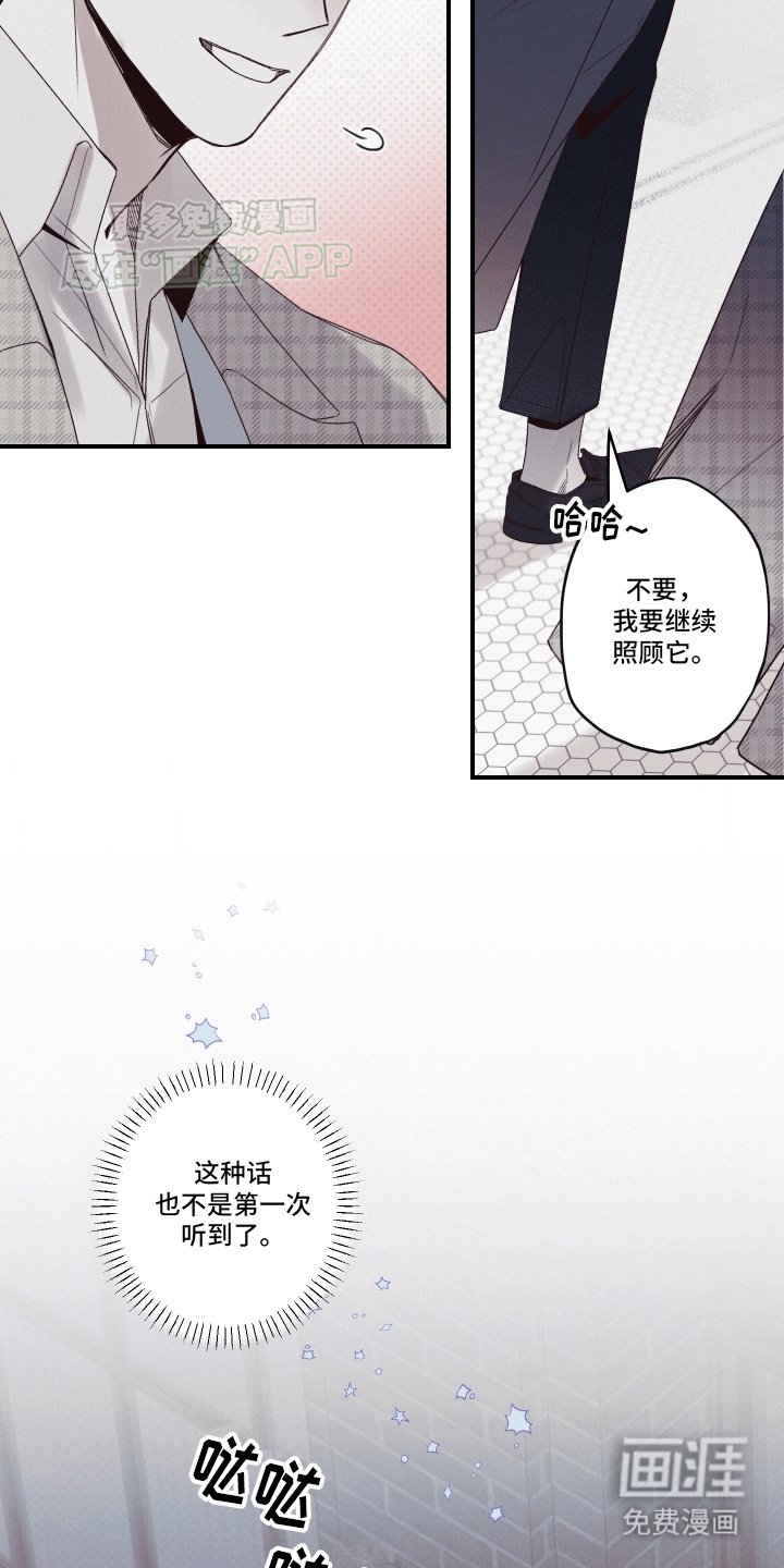第12章：语言的艺术