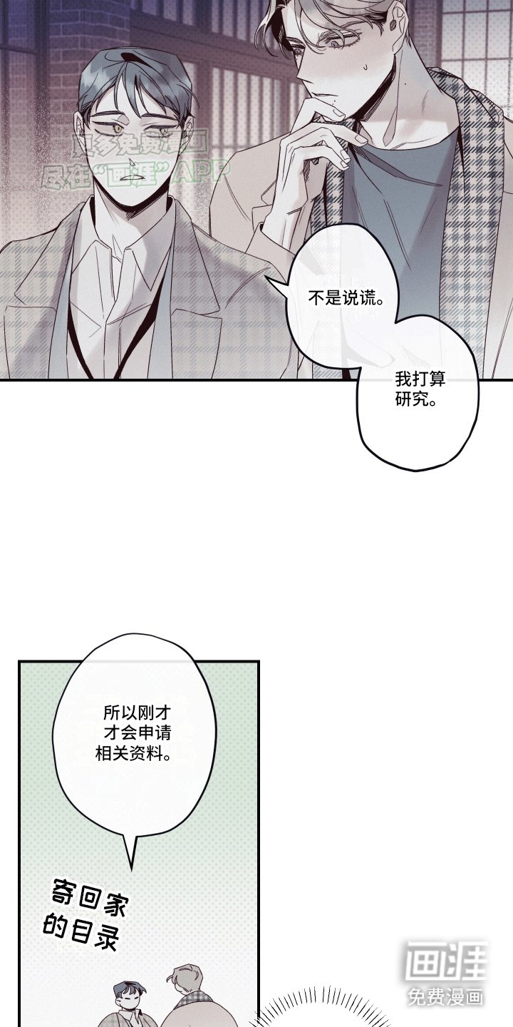 第12章：语言的艺术