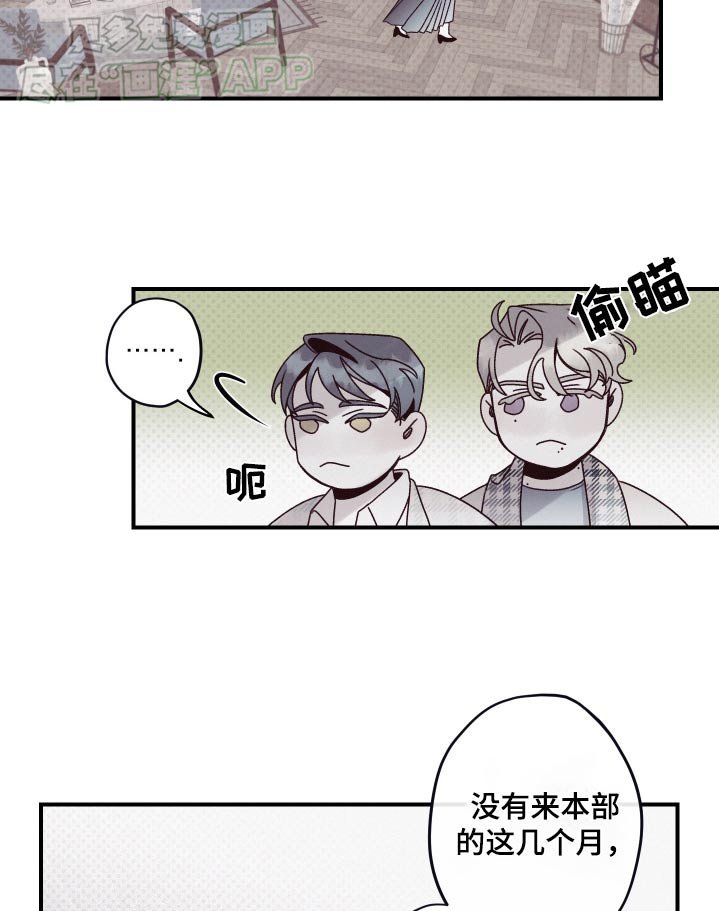 第13章：赞助