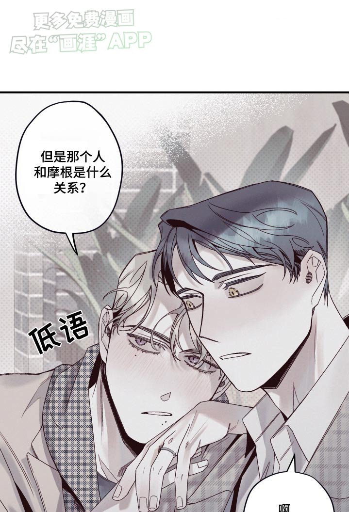 第14章：研究什么