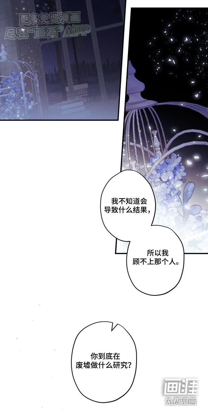 第14章：研究什么