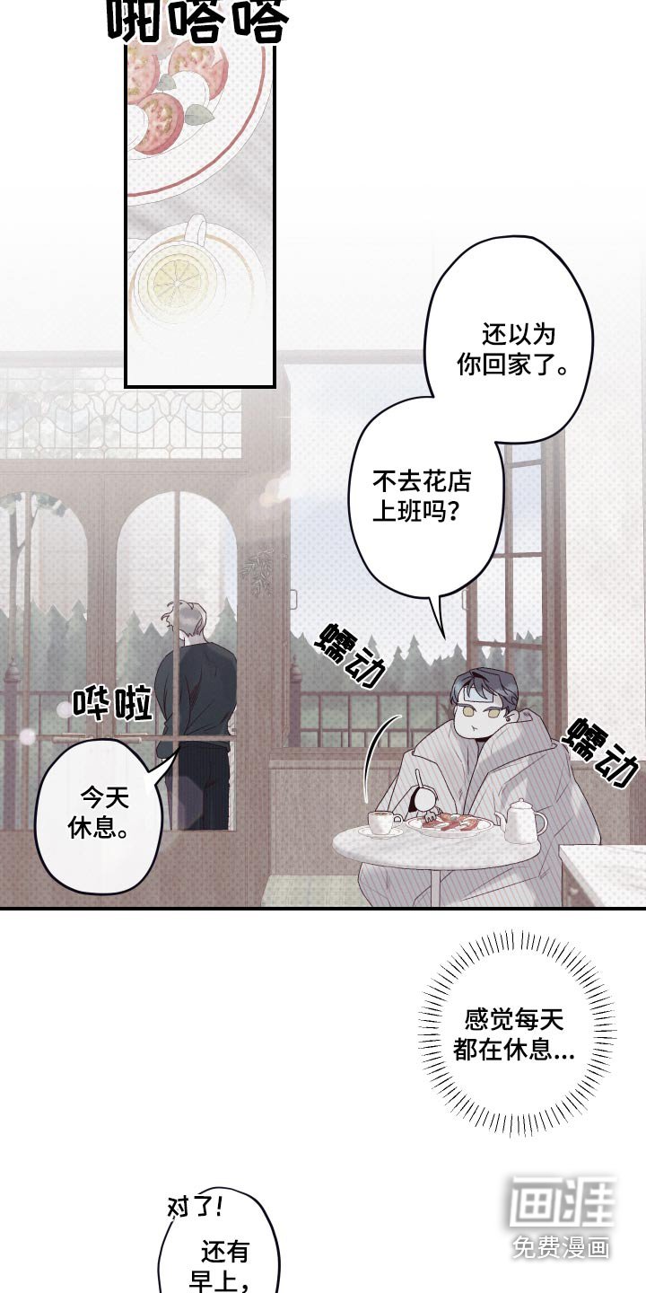 第22章：记忆