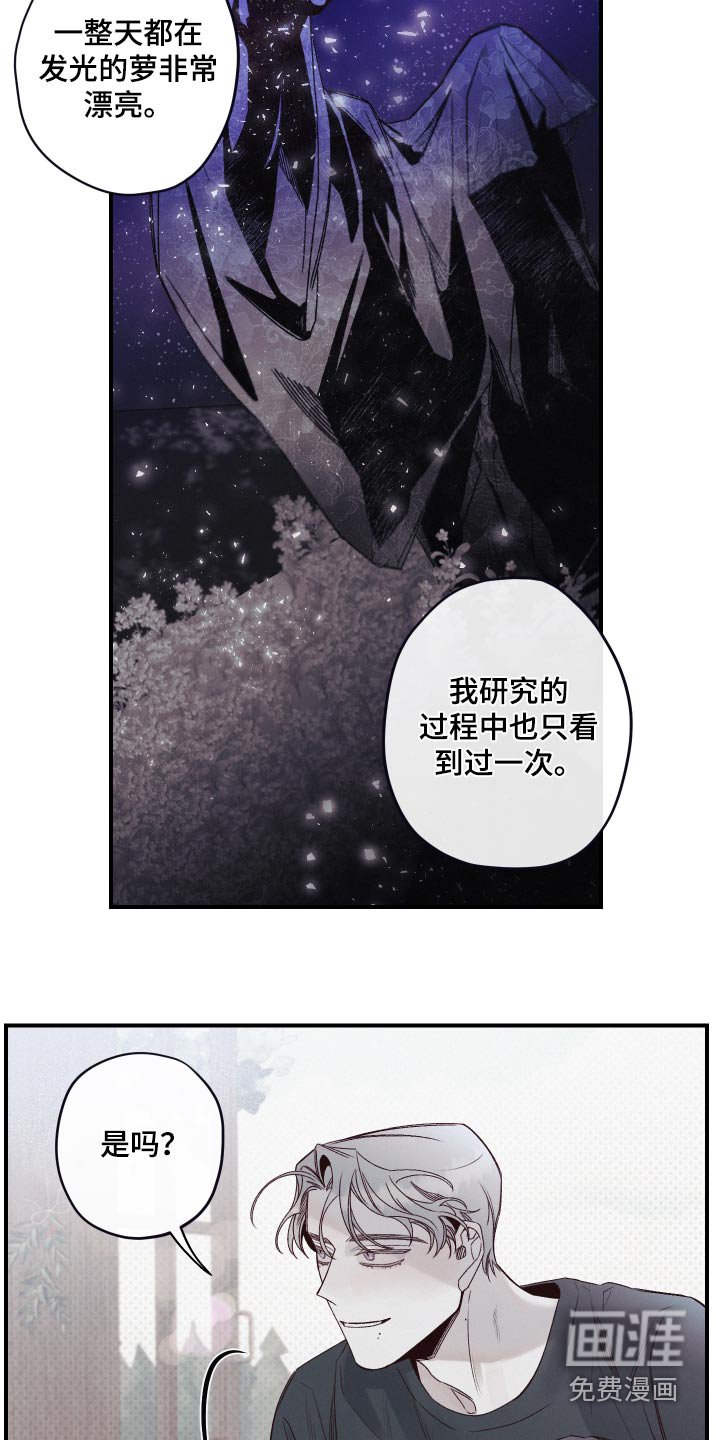 第22章：记忆