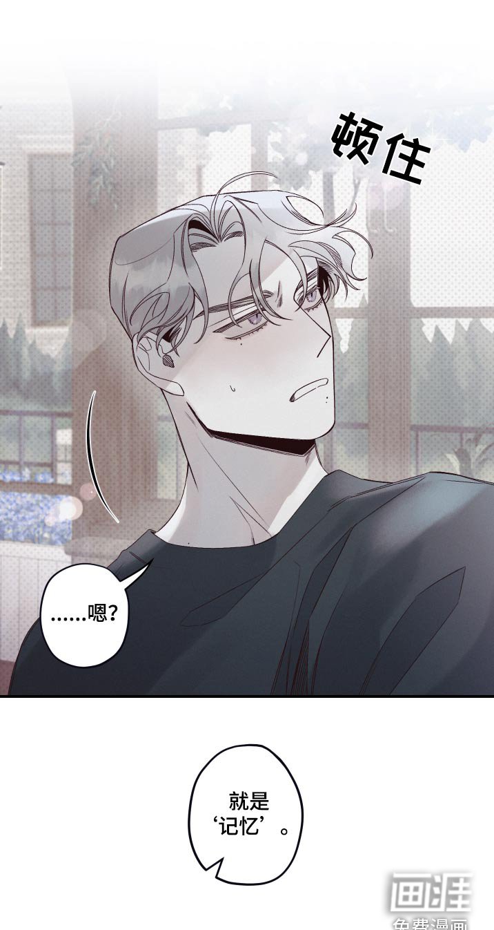 第22章：记忆
