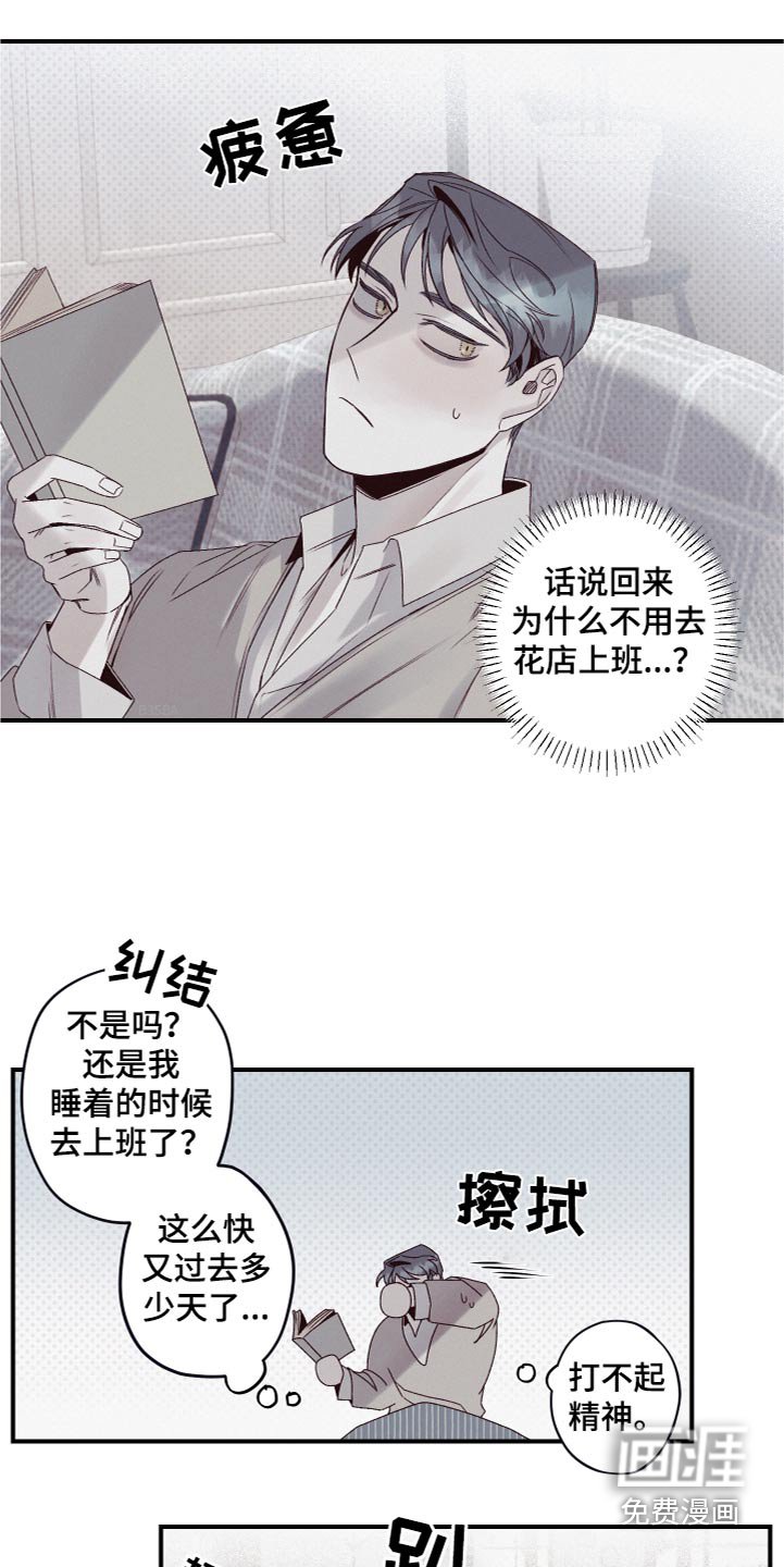 第24章：骗我