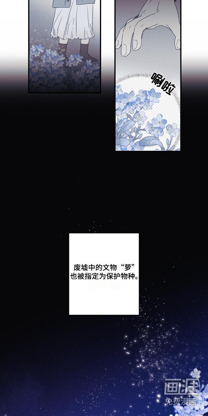 第25章：变数太多