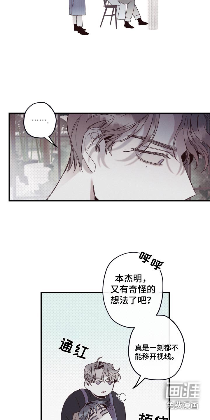 第26章：资料
