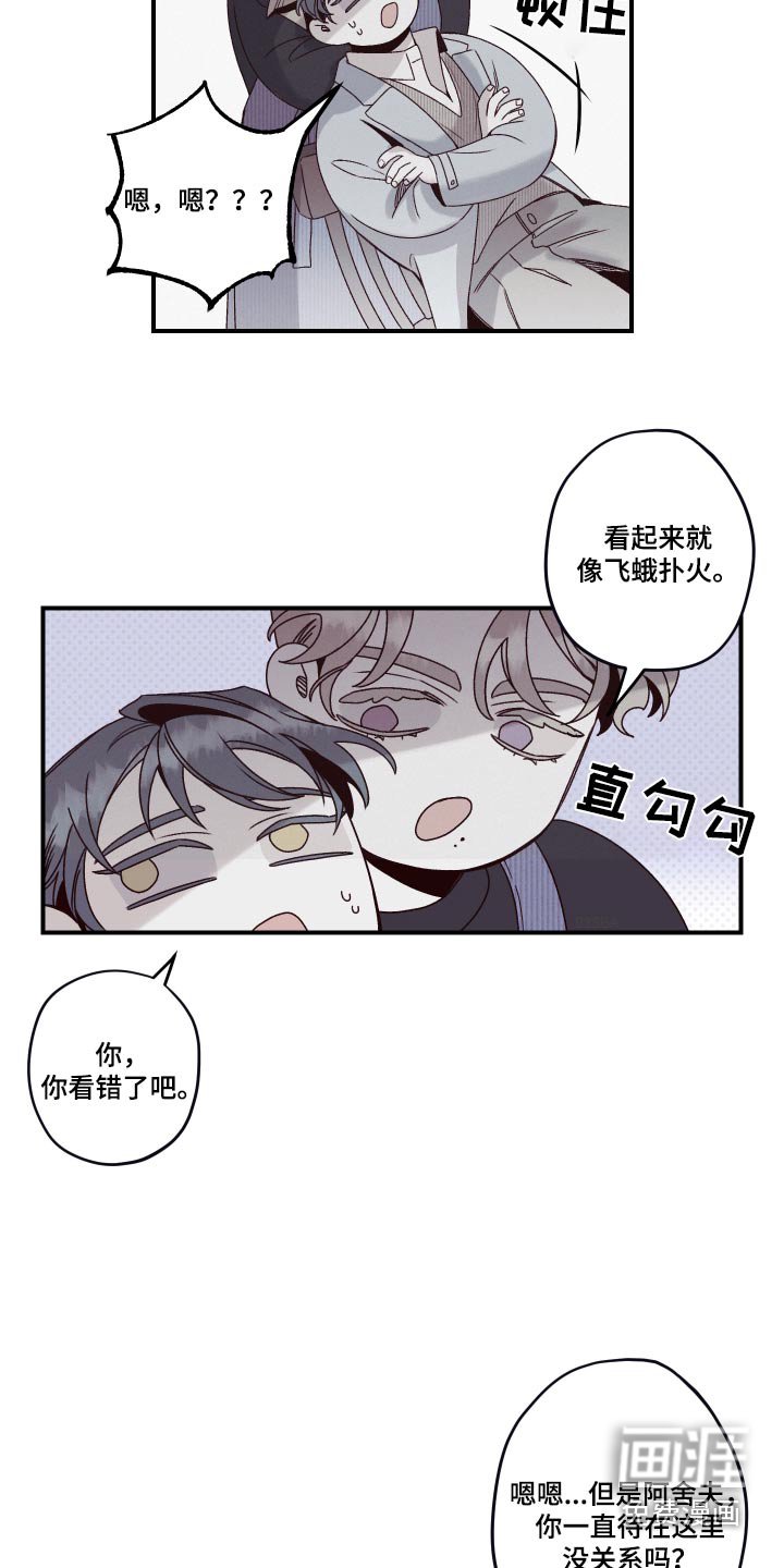 第26章：资料