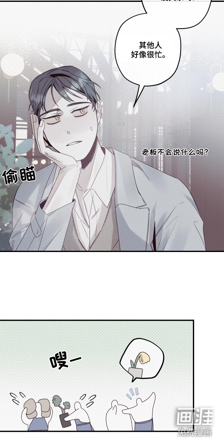 第26章：资料