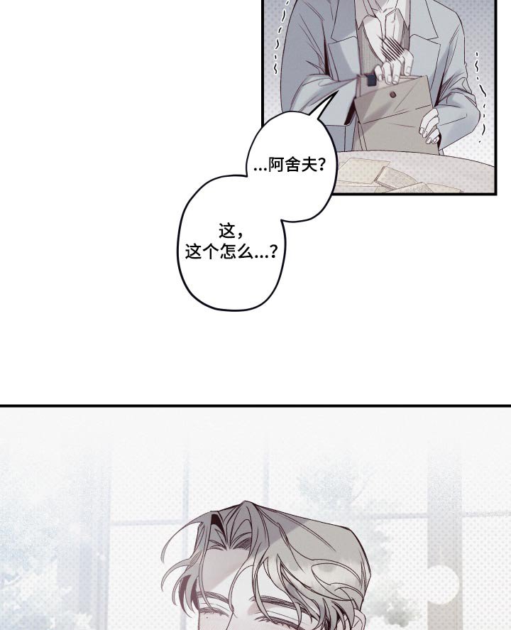 第26章：资料