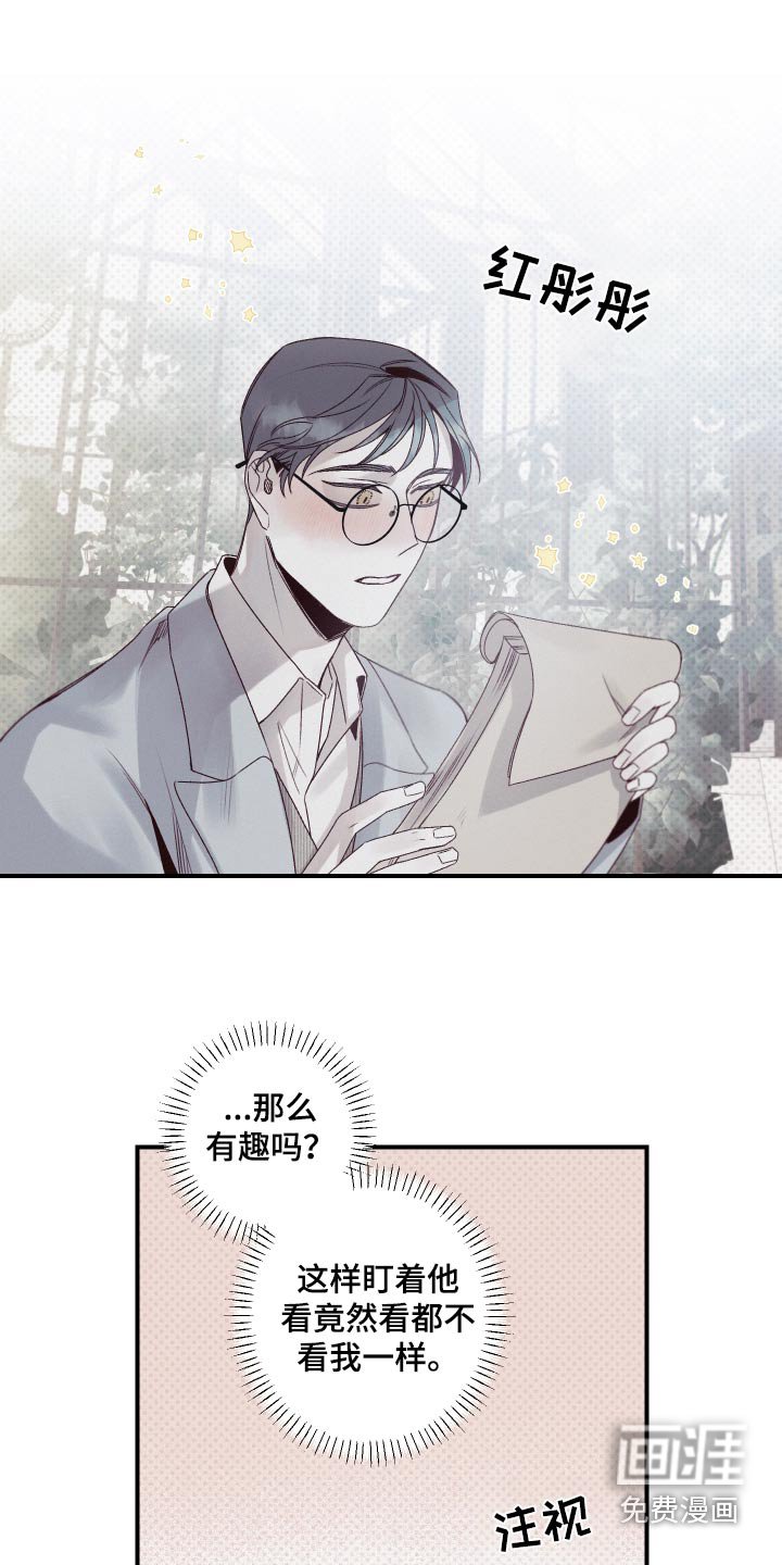 第26章：资料