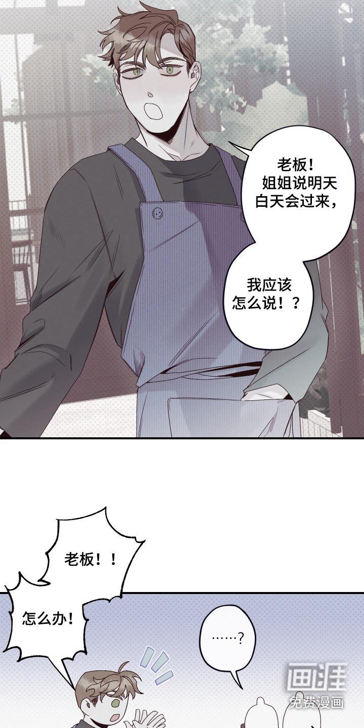 第26章：资料