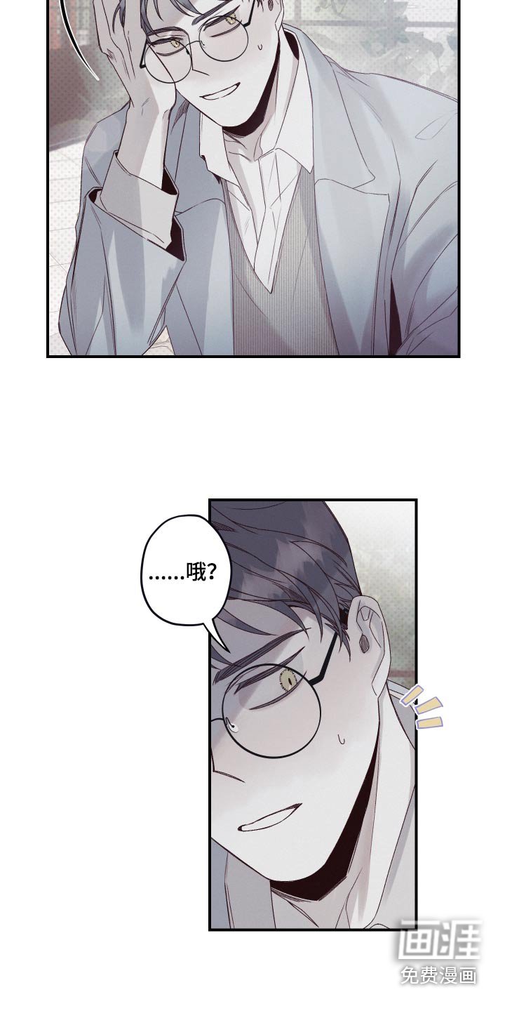 第26章：资料