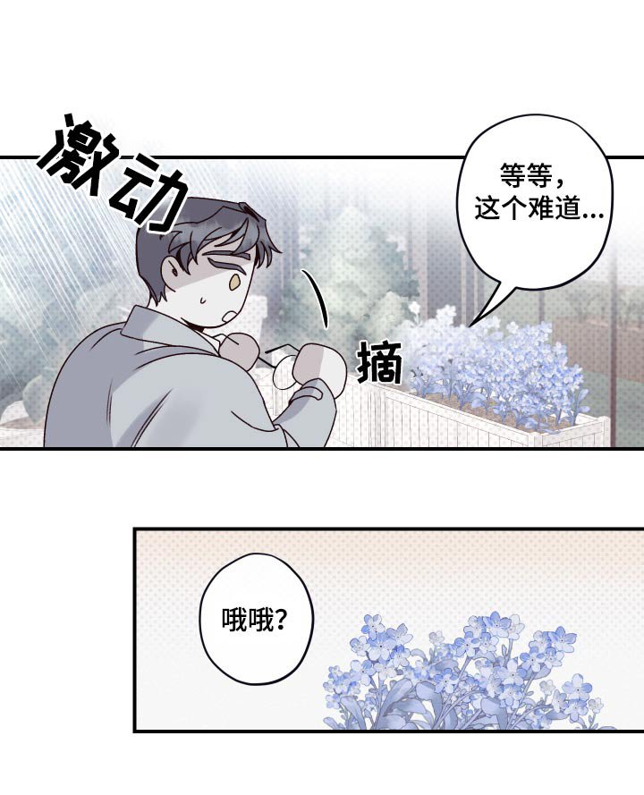 第26章：资料
