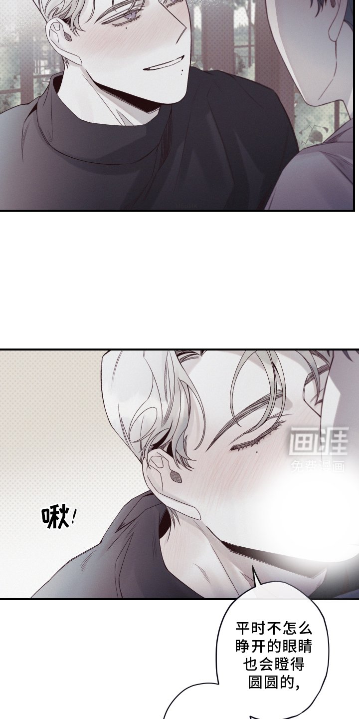 第28章：赞助