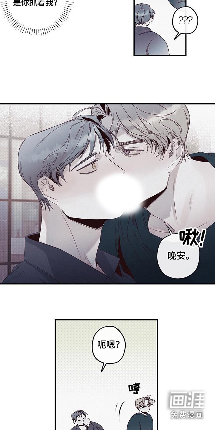 第32章：晚安