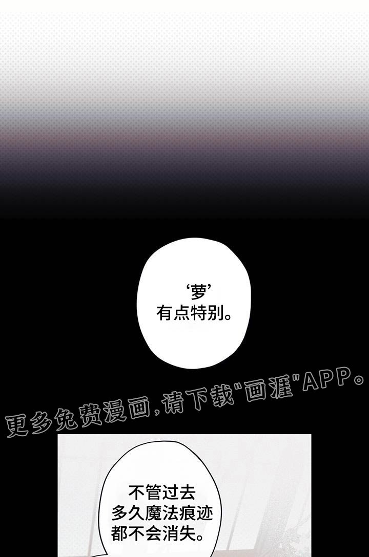 第40章：该死的家伙