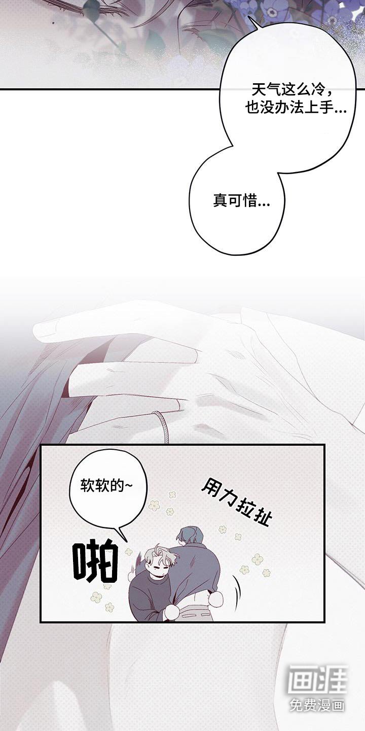 第41章：消失了