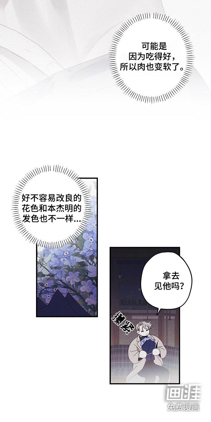 第41章：消失了
