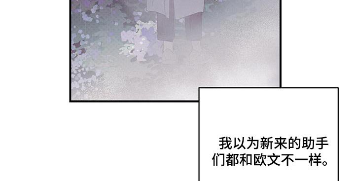 第44章：剩我一人