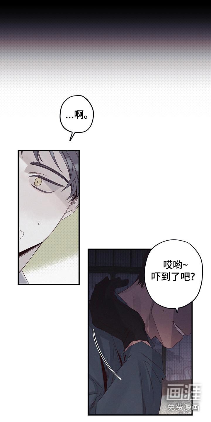 第47章：观察