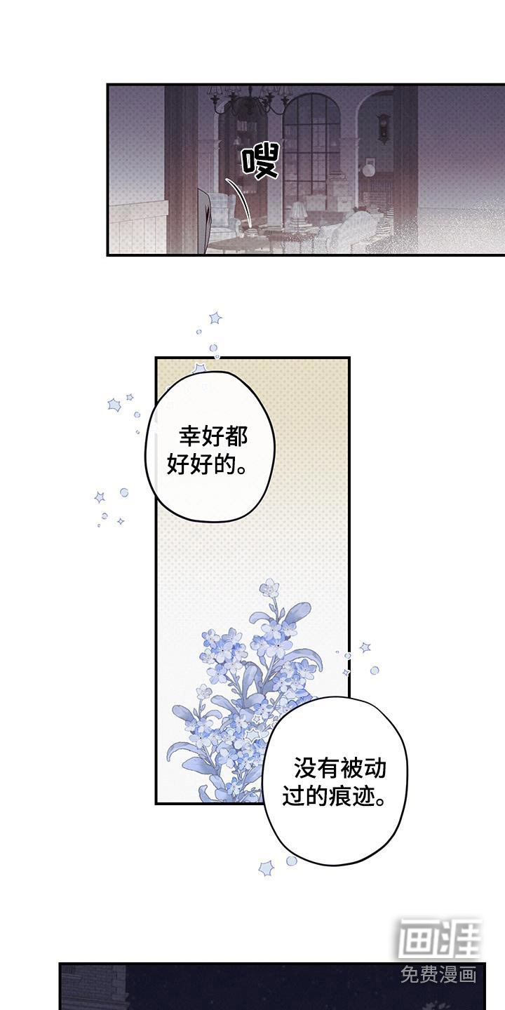 第47章：观察