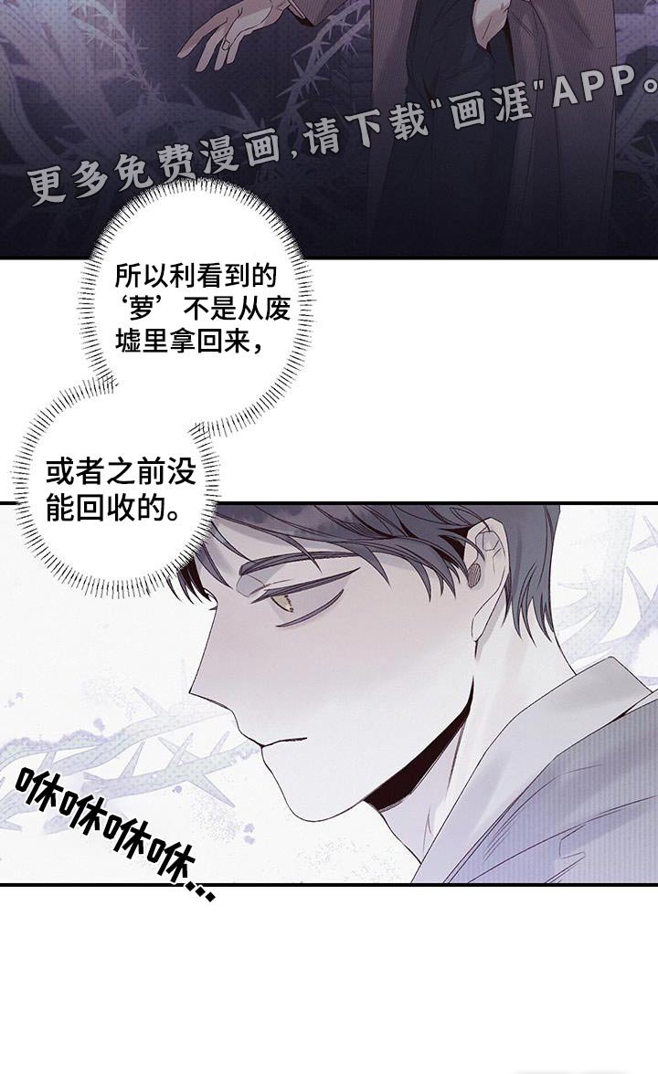 第47章：观察